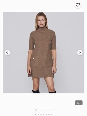 Zara Brown Short Sleeve Turtleneck Mini Dress